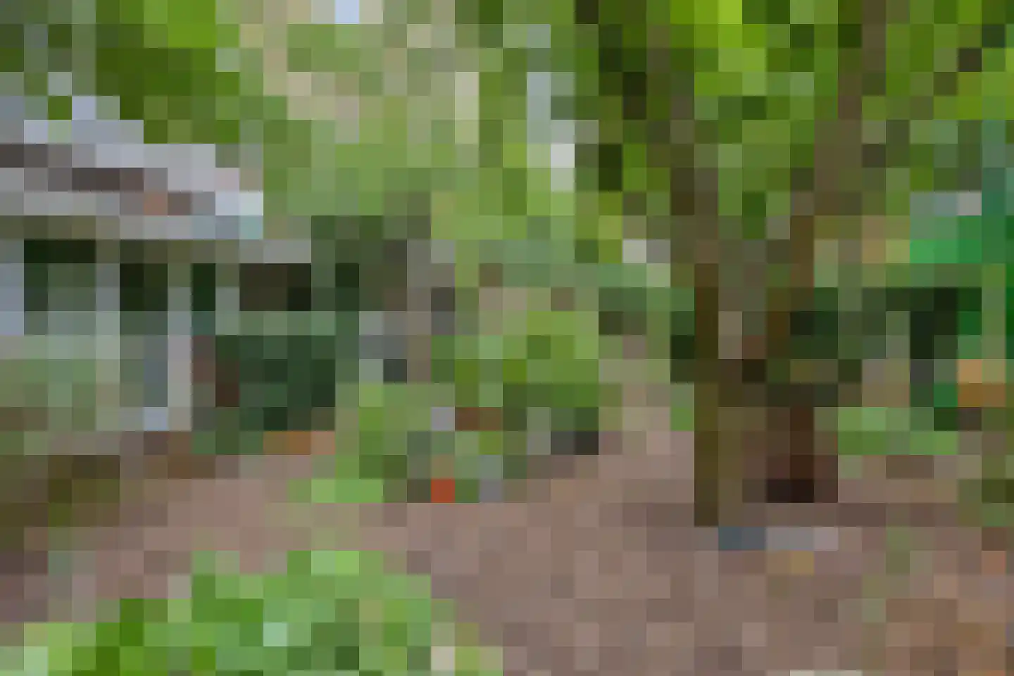 Vredenoordlaan 14 B Rotterdam thumbnail 32