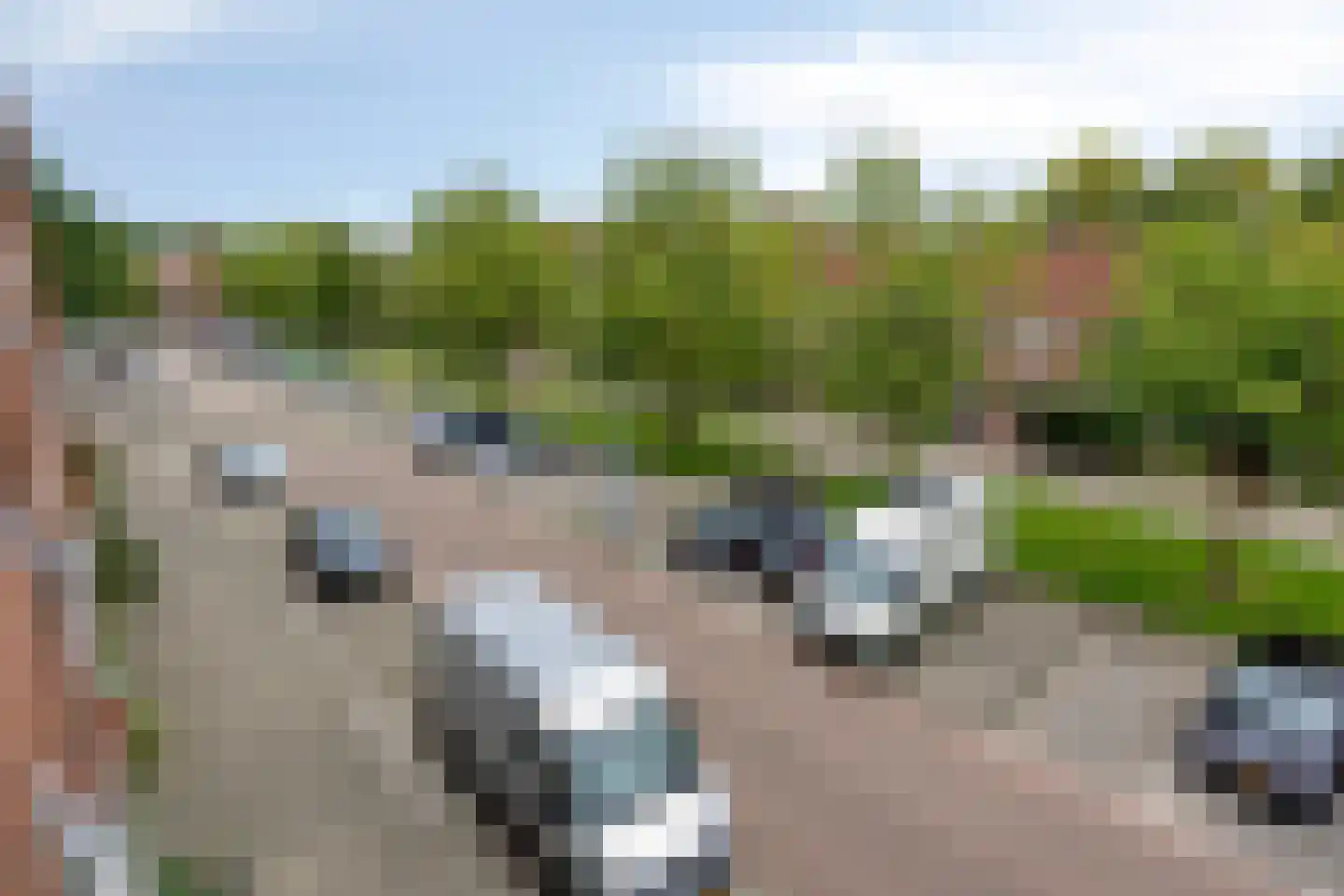 Vredenoordlaan 14 B Rotterdam thumbnail 36