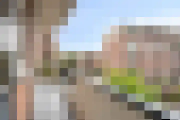Vredenoordlaan 46 A Rotterdam thumbnail 14