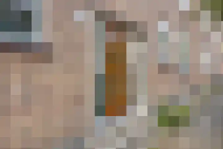 Vredenoordlaan 46 A Rotterdam thumbnail 5
