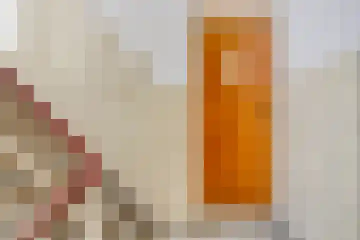 Vredenoordlaan 46 A Rotterdam thumbnail 6