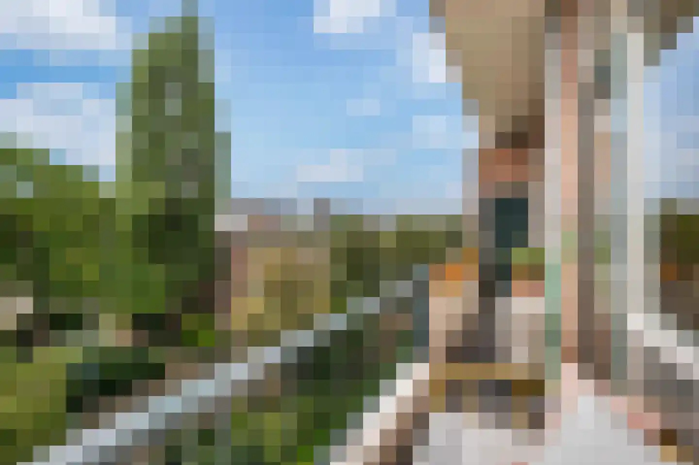 Vredenoordlaan 46 D Rotterdam thumbnail 16