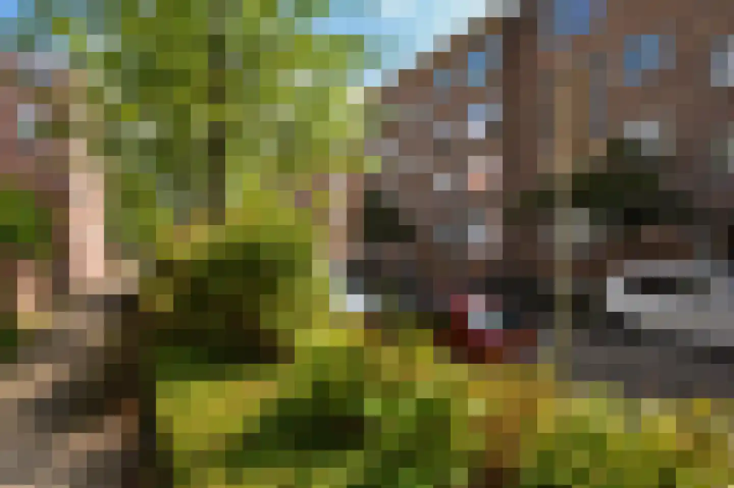 Vredenoordlaan 46 D Rotterdam thumbnail 5