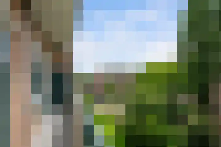 Vredenoordlaan 52 D Rotterdam thumbnail 18
