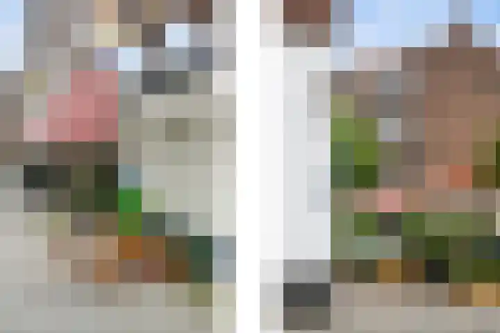 Vredenoordlaan 52 D Rotterdam thumbnail 21