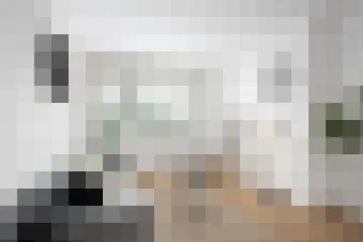 Vredenoordlaan 52 D Rotterdam thumbnail 5