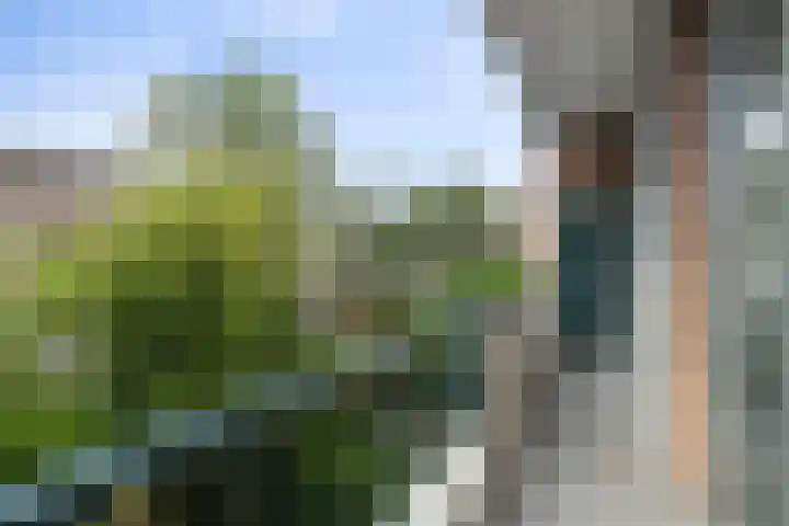 Vredenoordlaan 54 A Rotterdam thumbnail 21