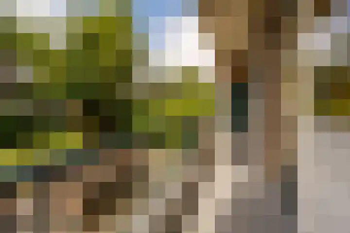 Vredenoordlaan 54 A Rotterdam thumbnail 22