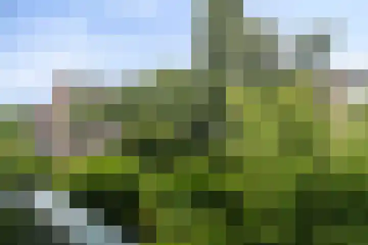 Vredenoordlaan 54 A Rotterdam thumbnail 23