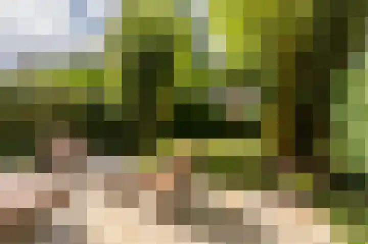 Vredenoordlaan 54 A Rotterdam thumbnail 23