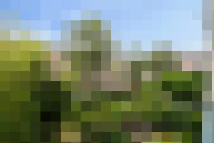 Vredenoordlaan 54 A Rotterdam thumbnail 24