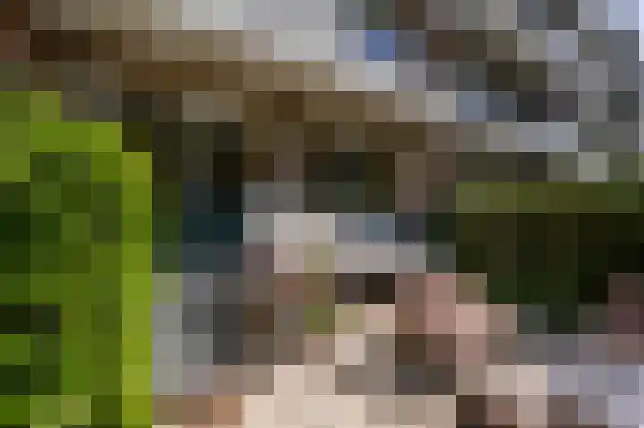 Vredenoordlaan 54 A Rotterdam thumbnail 24