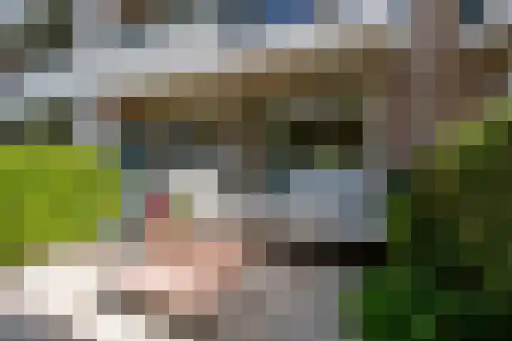 Vredenoordlaan 54 A Rotterdam thumbnail 25