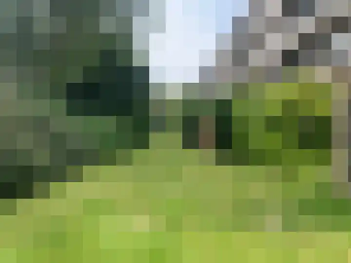 Vredenoordlaan 54 A Rotterdam thumbnail 27