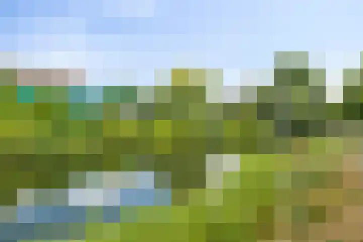Vredenoordlaan 54 A Rotterdam thumbnail 27