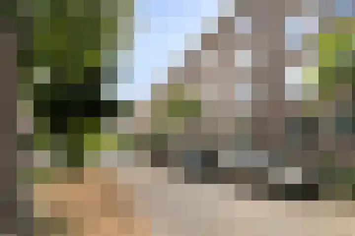 Vredenoordlaan 54 A Rotterdam thumbnail 31