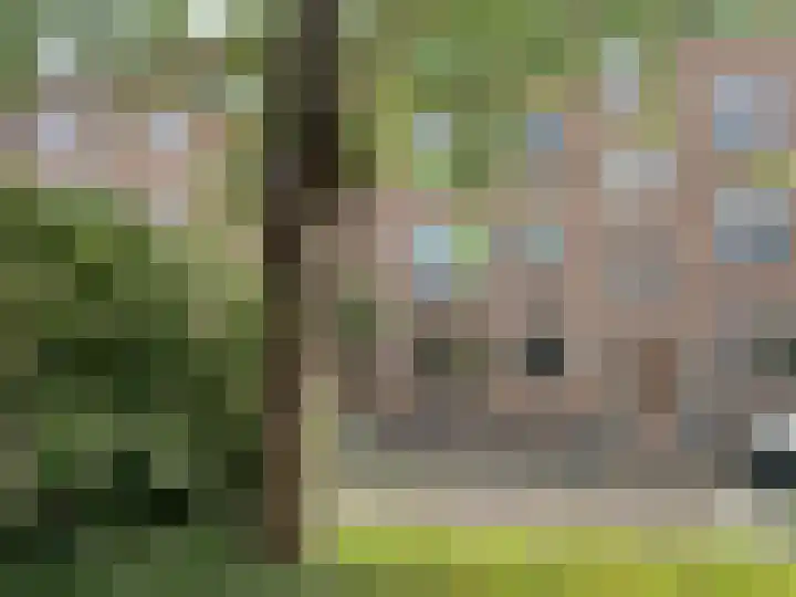 Vredenoordlaan 54 A Rotterdam thumbnail 31