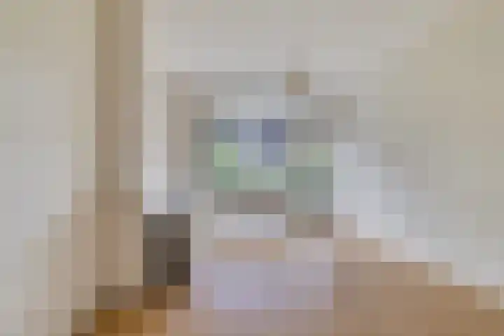 Vredenoordlaan 54 A Rotterdam thumbnail 5