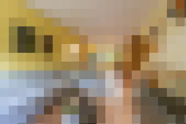 Vredenoordlaan 54 A Rotterdam thumbnail 6