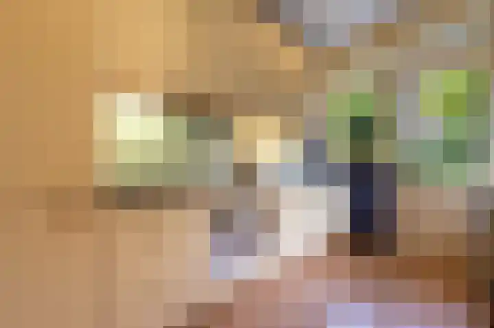 Vredenoordlaan 54 A Rotterdam thumbnail 9