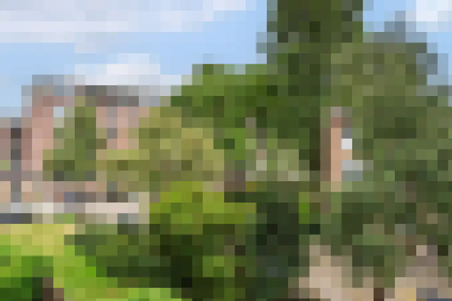 Vredenoordlaan 54 C Rotterdam thumbnail 25