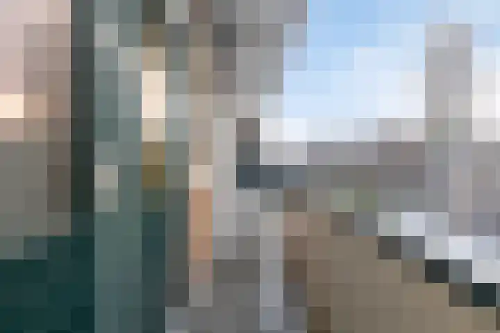 Vredenoordlaan 58 C Rotterdam thumbnail 16