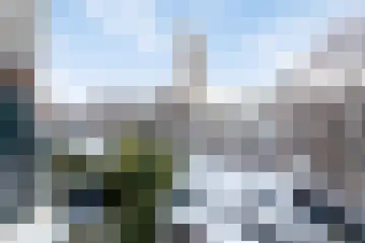 Vredenoordlaan 58 C Rotterdam thumbnail 18