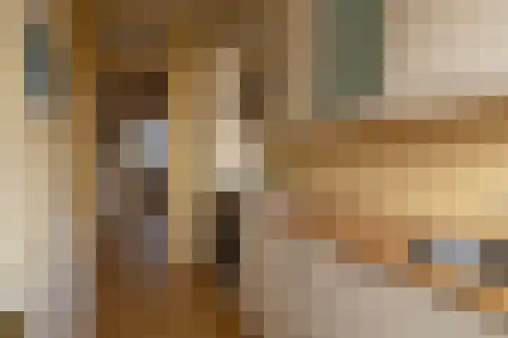 Vredenoordlaan 58 C Rotterdam thumbnail 8