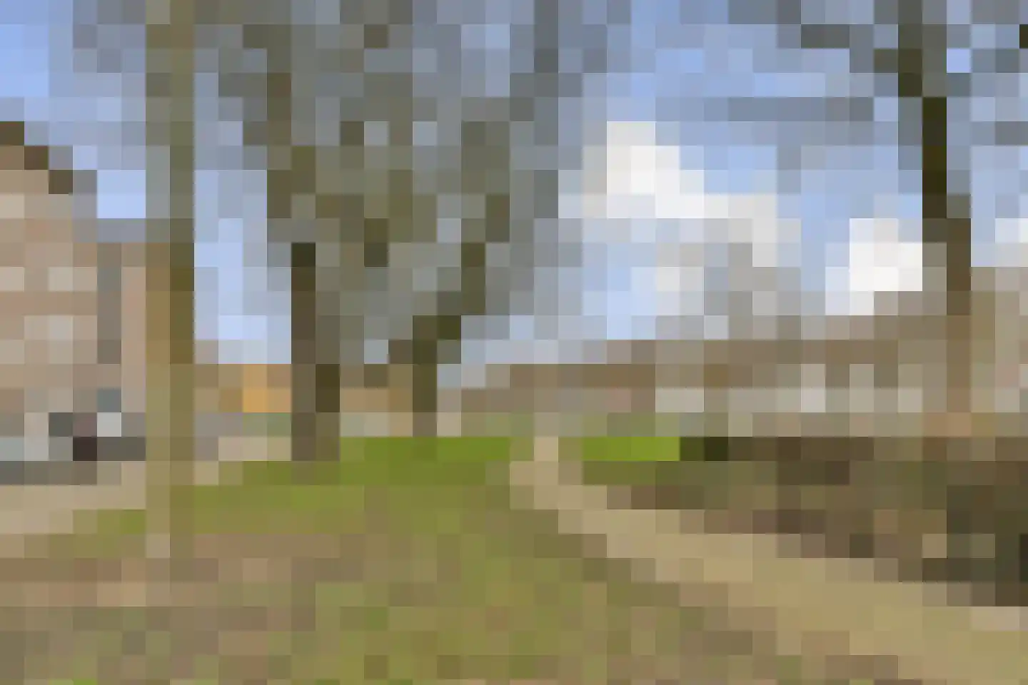 Vredenoordlaan 62 A Rotterdam thumbnail 21