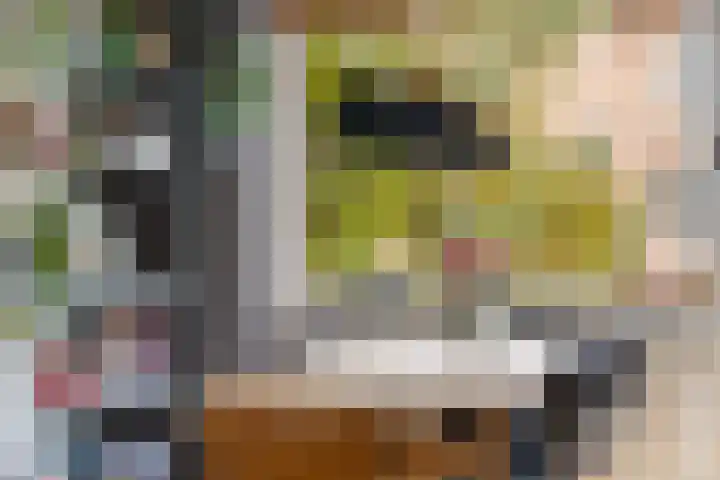 Vredenoordlaan 62 D Rotterdam thumbnail 10