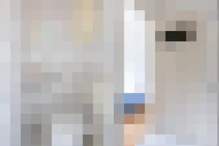 Vredenoordlaan 62 D Rotterdam thumbnail 18