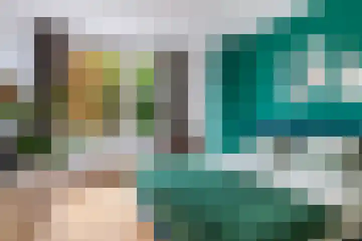 Vredenoordlaan 62 D Rotterdam thumbnail 23
