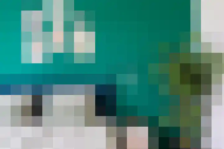 Vredenoordlaan 62 D Rotterdam thumbnail 25