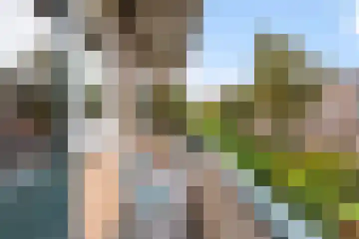 Vredenoordlaan 62 D Rotterdam thumbnail 28