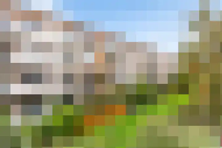 Vredenoordlaan 62 D Rotterdam thumbnail 30