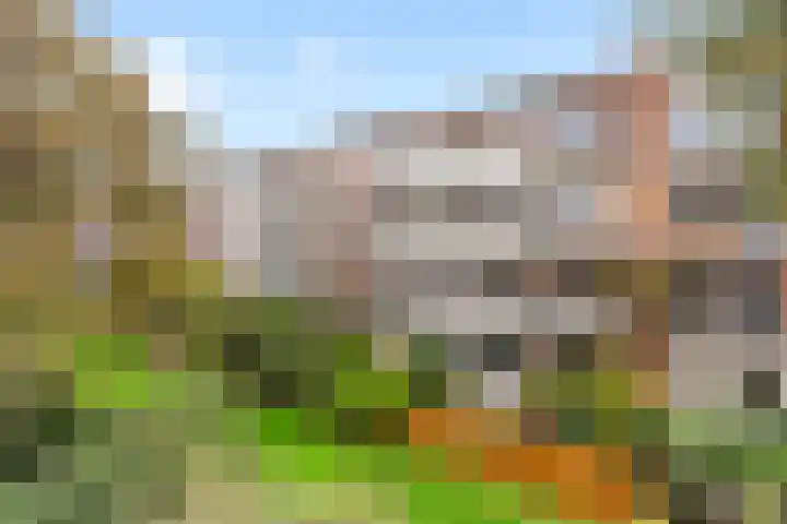 Vredenoordlaan 62 D Rotterdam thumbnail 31