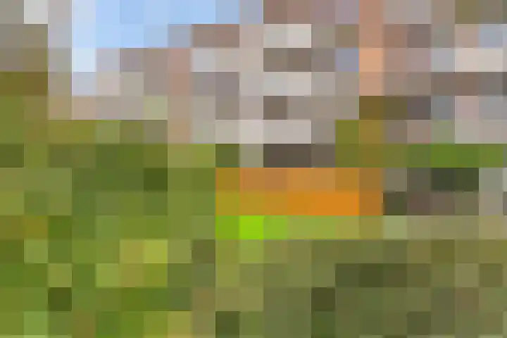 Vredenoordlaan 62 D Rotterdam thumbnail 32