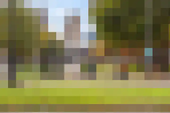 Vredenoordlaan 62 D Rotterdam thumbnail 35