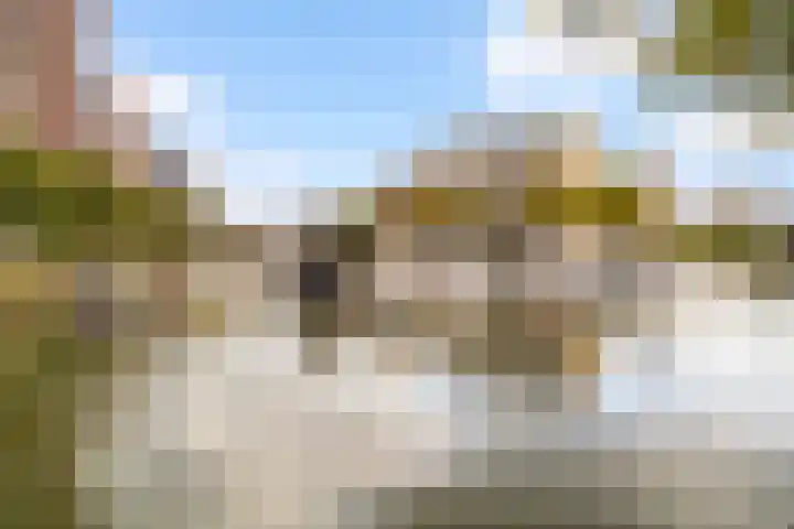 Vredenoordlaan 62 D Rotterdam thumbnail 36