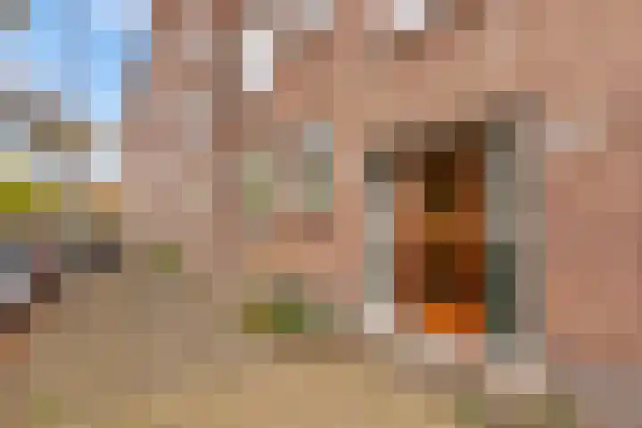 Vredenoordlaan 62 D Rotterdam thumbnail 4