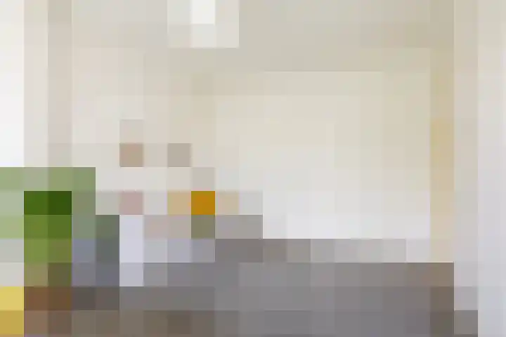 Vredenoordlaan 64 D Rotterdam thumbnail 10