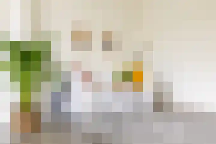 Vredenoordlaan 64 D Rotterdam thumbnail 11