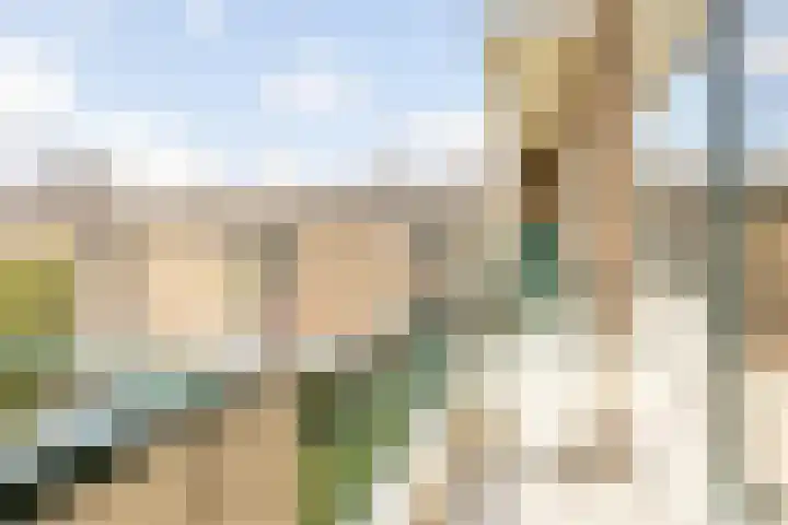 Vredenoordlaan 64 D Rotterdam thumbnail 13