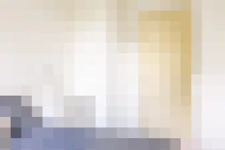 Vredenoordlaan 64 D Rotterdam thumbnail 20