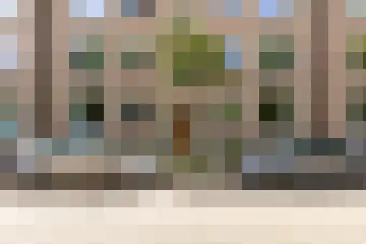 Vredenoordlaan 64 D Rotterdam thumbnail 27
