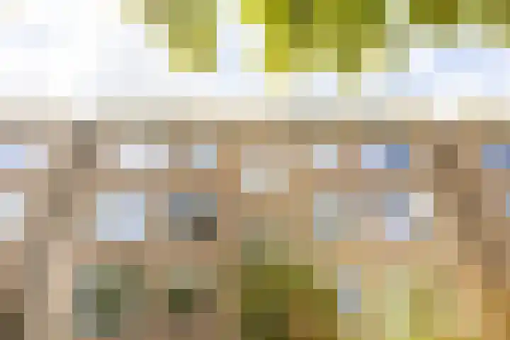 Vredenoordlaan 64 D Rotterdam thumbnail 28