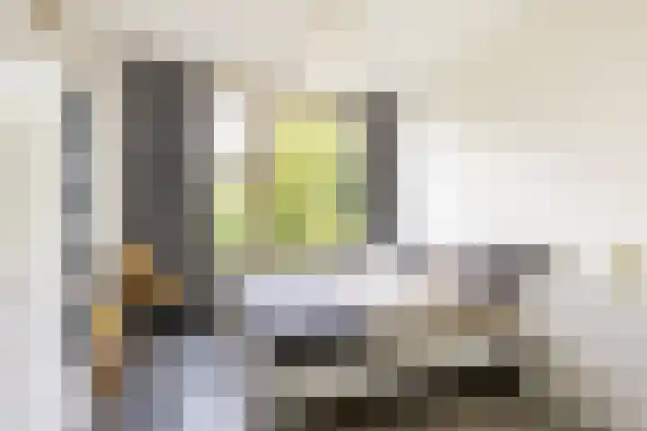 Vredenoordlaan 64 D Rotterdam thumbnail 5