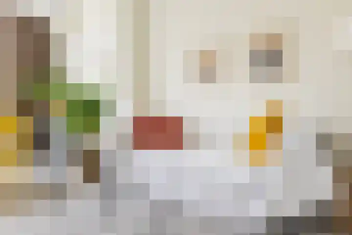 Vredenoordlaan 64 D Rotterdam thumbnail 6