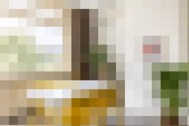 Vredenoordlaan 64 D Rotterdam thumbnail 8