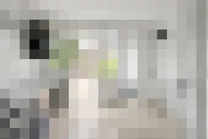 Vredenoordlaan 66 B Rotterdam thumbnail 19